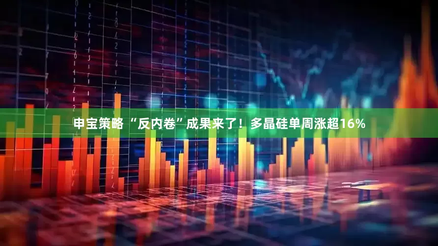 申宝策略 “反内卷”成果来了！多晶硅单周涨超16%